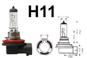 H16 716 19w Limastar Xenon White Halogen Bulbs (10 PACK)